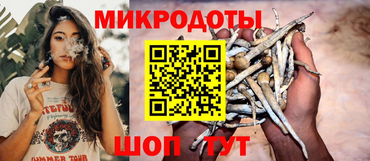 Псилоцибиновые грибы GOLDEN TEACHER Петрозаводск