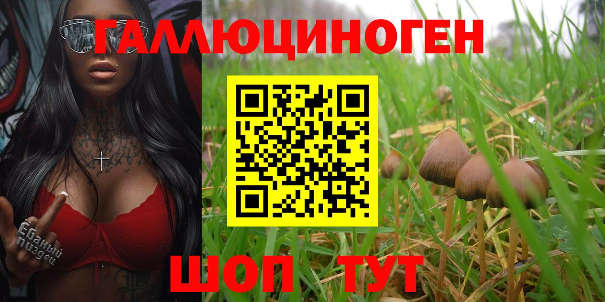 Петрозаводск  Галлюциногенные грибы Psilocybine cubensis  Псилоцибиновые грибы Magic Shrooms  Вход с VPN 