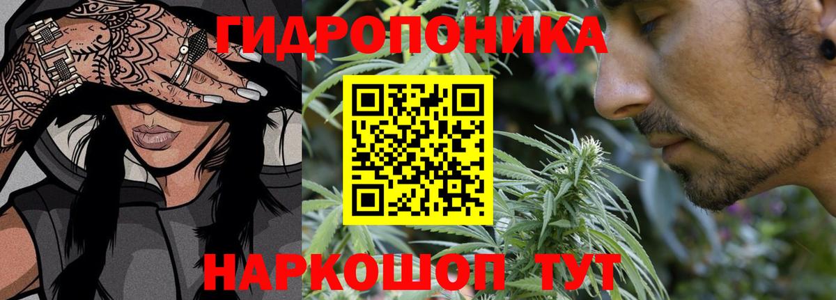 Бошки марихуана семена  МАРИХУАНА тримм  МАРИХУАНА индика  Вход с VPN  Петрозаводск  Марихуана Ganja 